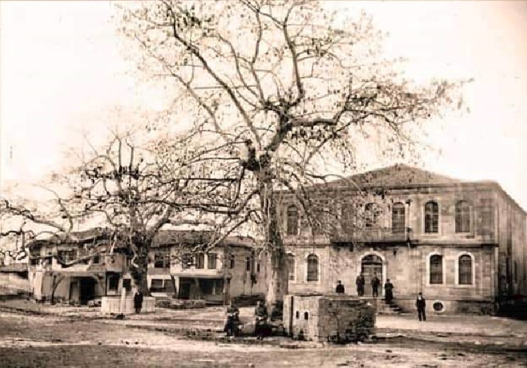 Xani karvan sarai genisea